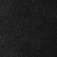 Black Leather