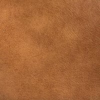 Brown Leather